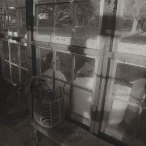 Gallery Photo 37