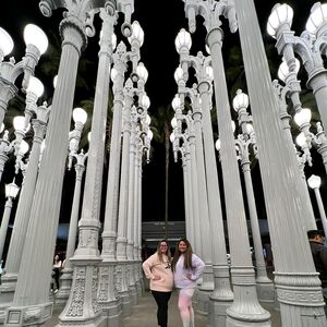 Gallery Photo 11