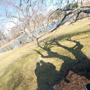 Gallery Photo 15