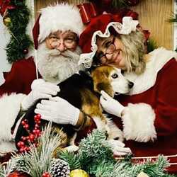 Sassi Party Performers/Sassi Entertainment Santas!, profile image