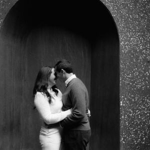 Gallery Photo 37