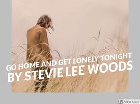 Stevie Lee Woods & Friends  - Country Band - Branson, MO - Hero Gallery 1